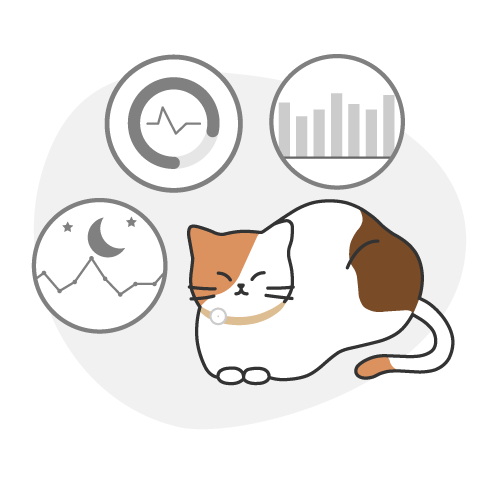 いつもと違う動きに、気づける