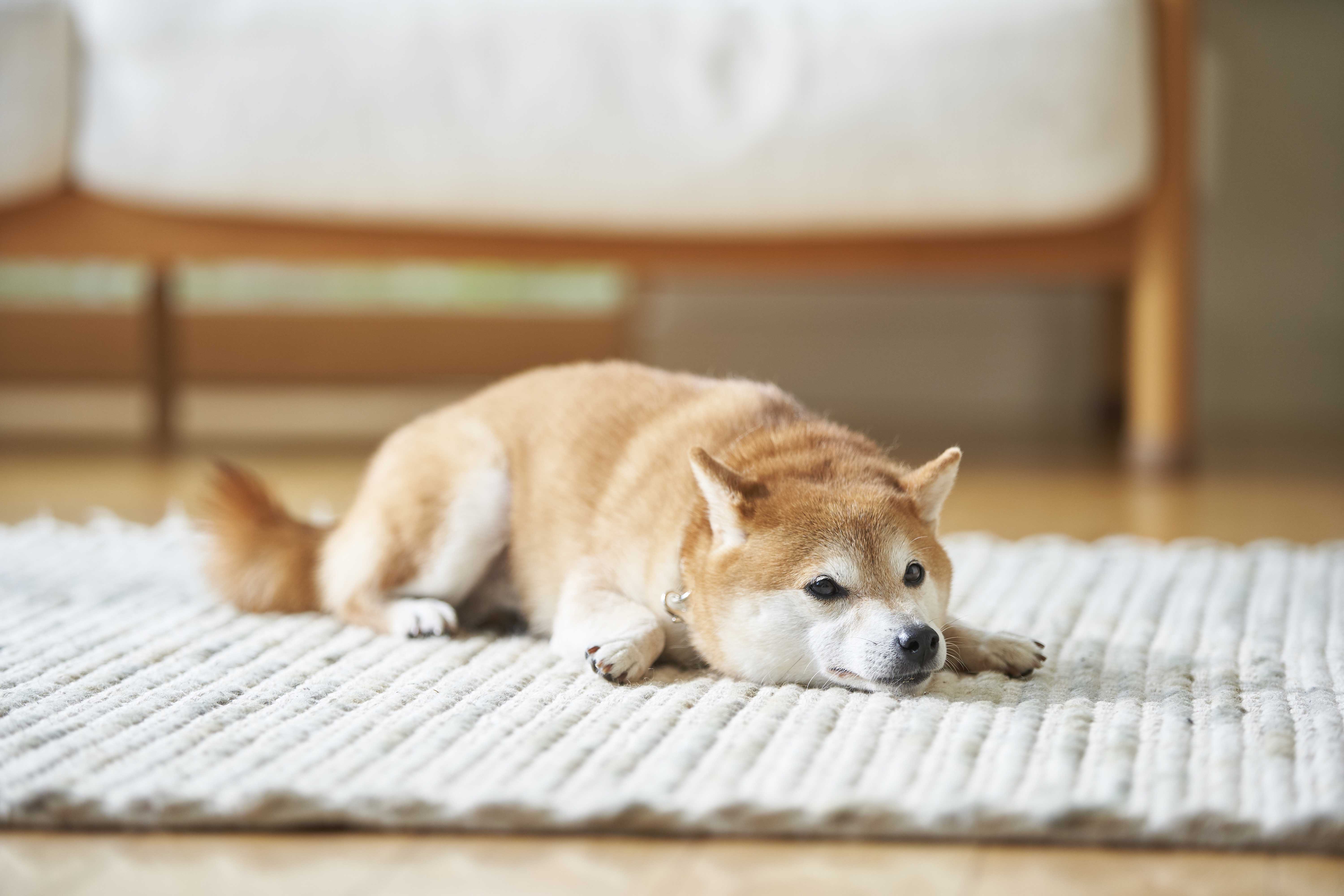 waneco talk + メインビジュアル